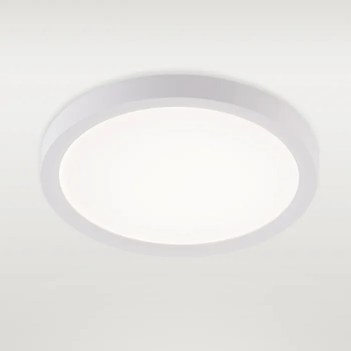 Потолочная люстра Natali Kovaltseva Plain LED LAMPS 81113/1C от ImperiumLoft