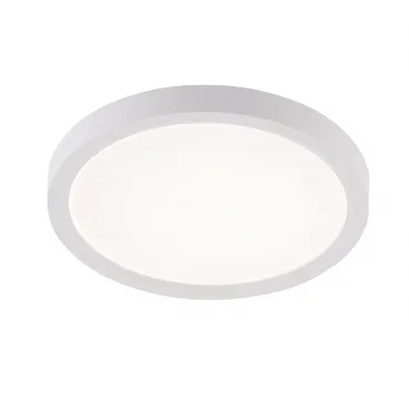 Потолочная люстра Natali Kovaltseva Plain LED LAMPS 81113/1C