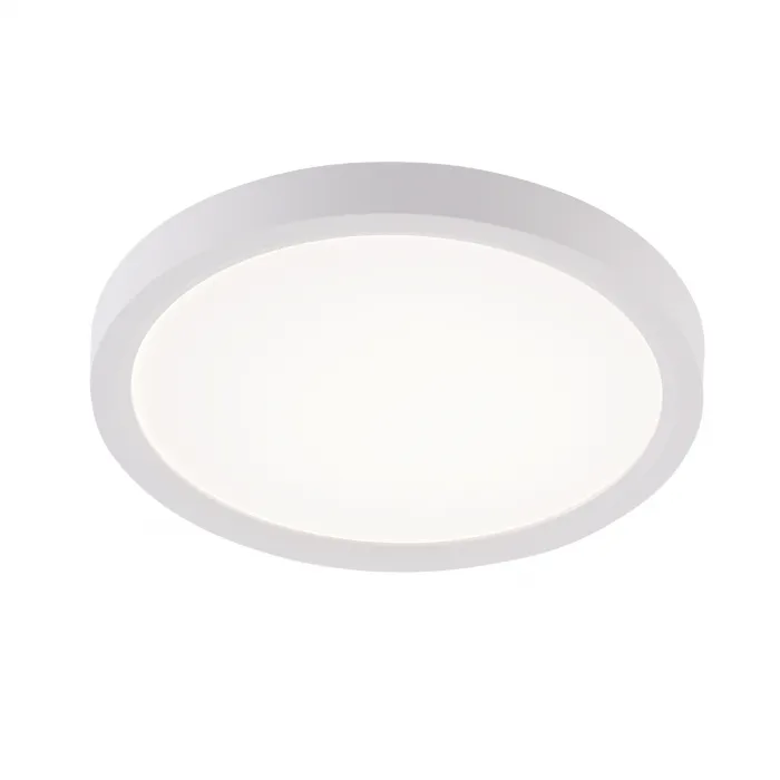 Потолочная люстра Natali Kovaltseva Plain LED LAMPS 81113/1C от ImperiumLoft