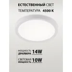 Потолочная люстра Natali Kovaltseva Plain LED LAMPS 81113/1C от ImperiumLoft