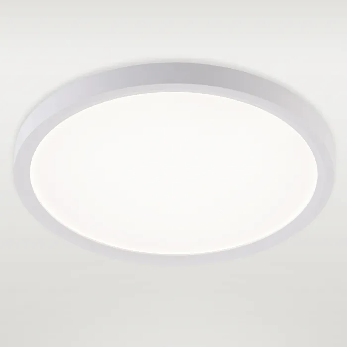 Потолочная люстра Natali Kovaltseva Plain LED LAMPS 81113/2C от ImperiumLoft