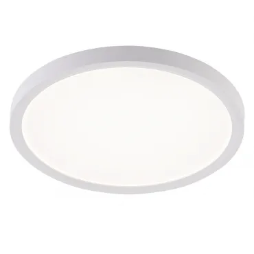 Потолочная люстра Natali Kovaltseva Plain LED LAMPS 81113/2C