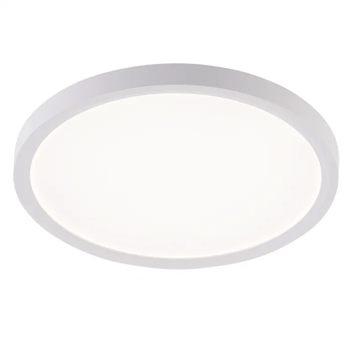 Потолочная люстра Natali Kovaltseva Plain LED LAMPS 81113/2C от ImperiumLoft