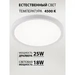 Потолочная люстра Natali Kovaltseva Plain LED LAMPS 81113/2C от ImperiumLoft