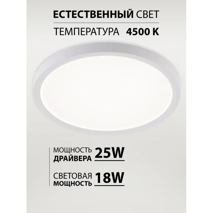 Потолочная люстра Natali Kovaltseva Plain LED LAMPS 81113/2C от ImperiumLoft
