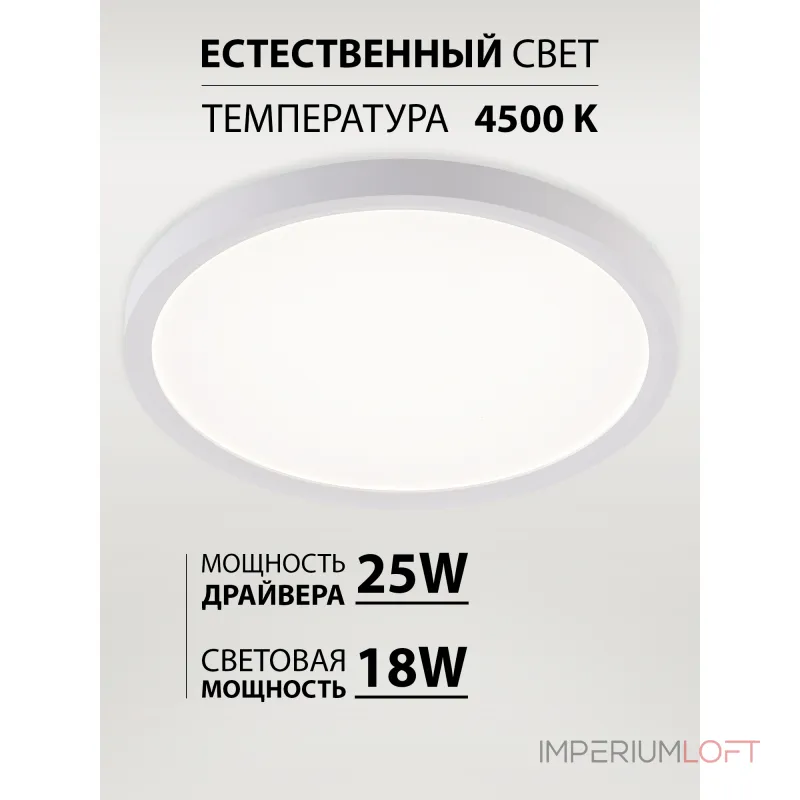 Потолочный светильник Natali Kovaltseva Plain LED LAMPS 81113/2C Потолочный светильник Natali Kovaltseva Plain LED LAMPS 81113/2C