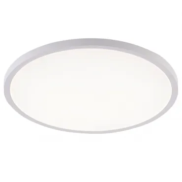 Потолочная люстра Natali Kovaltseva Plain LED LAMPS 81113/5C