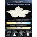 Потолочная люстра Natali Kovaltseva Effect LED LAMPS 81118 Потолочная люстра Natali Kovaltseva Effect LED LAMPS 81118