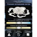Потолочная люстра Natali Kovaltseva Core LED LAMPS 81120/5C