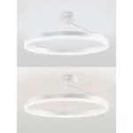 Потолочная люстра Natali Kovaltseva Finam LED LAMPS 81121/1C от ImperiumLoft