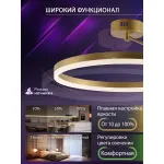 Потолочная люстра Natali Kovaltseva Finam LED LAMPS 81121/3C