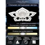 Потолочная люстра Natali Kovaltseva Cascade LED LAMPS 81159 от ImperiumLoft