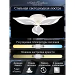 Потолочная люстра Natali Kovaltseva Sirius LED LAMPS 81164 от ImperiumLoft