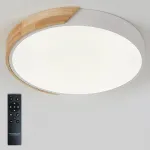 Потолочная люстра Natali Kovaltseva Scandinavian LED LAMPS 81181 от ImperiumLoft