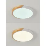 Потолочная люстра Natali Kovaltseva Scandinavian LED LAMPS 81181 от ImperiumLoft