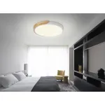 Потолочная люстра Natali Kovaltseva Scandinavian LED LAMPS 81181 от ImperiumLoft