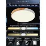 Потолочная люстра Natali Kovaltseva Scandinavian LED LAMPS 81182 от ImperiumLoft