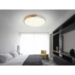 Потолочная люстра Natali Kovaltseva Scandinavian LED LAMPS 81182 от ImperiumLoft