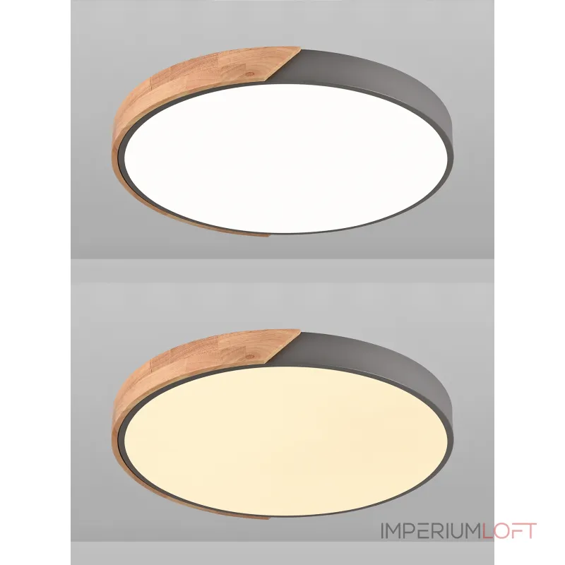 Потолочный светильник Natali Kovaltseva Scandinavian LED LAMPS 81183 Потолочный светильник Natali Kovaltseva Scandinavian LED LAMPS 81183
