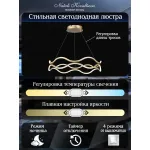 Подвесная люстра Natali Kovaltseva Andromeda Ii LED LAMPS 81286