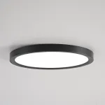 Потолочный светильник SLIM D23 Черный от ImperiumLoft