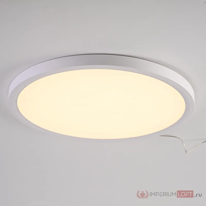 Потолочный светильник SLIM D30 Белый от ImperiumLoft