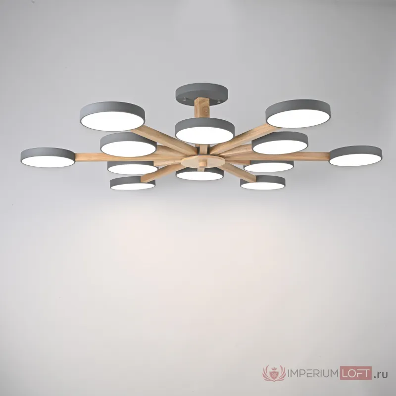 Потолочный светильник TURNA L12 Grey от ImperiumLoft