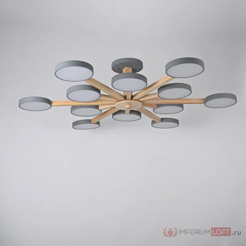Потолочный светильник TURNA L12 Grey от ImperiumLoft