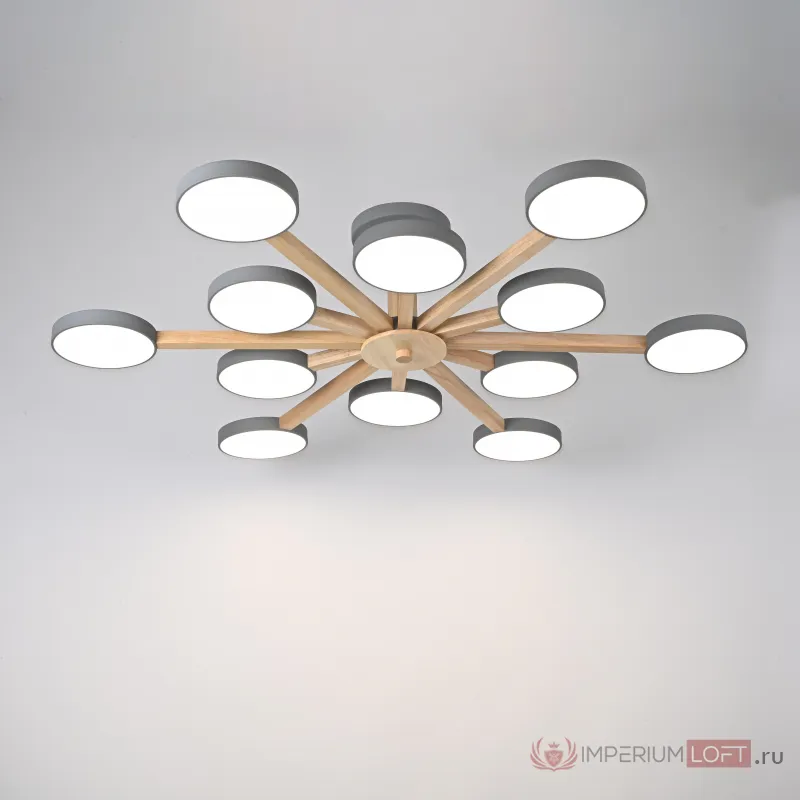 Потолочный светильник TURNA L12 Grey от ImperiumLoft