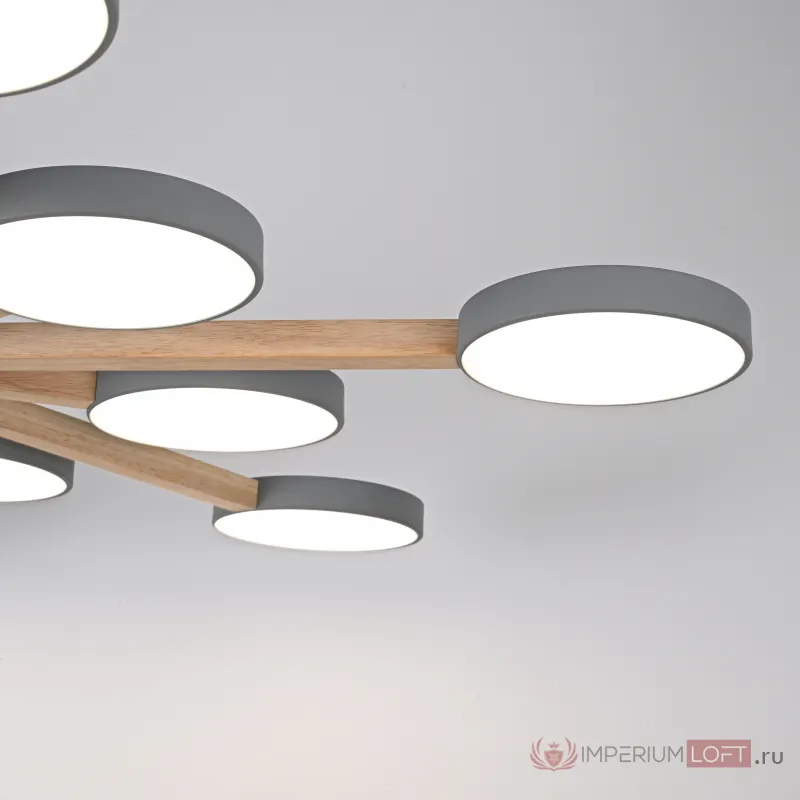 Потолочный светильник TURNA L12 Grey от ImperiumLoft
