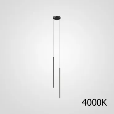 Комбинация светильников ATTA DUO S BLACK 4000
