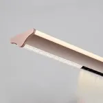 Реечный LED светильник оригинальной формы с комбинацией направленного и рассеянного света DOSSE A COFFEE