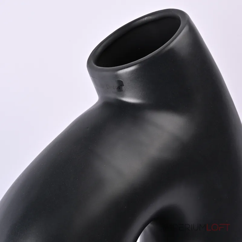 Ваза с изогнутым горлышком LaLume DK_FA-D21017B Ваза с изогнутым горлышком LaLume DK_FA-D21017B