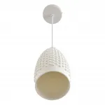 Подвесной светильник Lumion Suspentioni 8350/1B