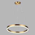 Подвесная люстра Lumion Ledio 6531/34L