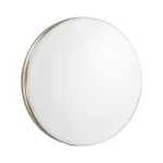 Потолочный светильник Sonex Smalli 3015/CL 