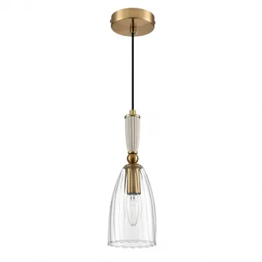 Подвесной светильник Lumion Suspentioni 8284/1A
