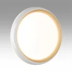 Настенно-потолочный светильник Сонекс Pale 48вт ø380 8104/38L