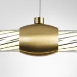 Подвесная люстра Lumion Ledio 8010/50L