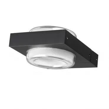Уличный настенный светильник Odeon Light Nature 6654/6WL