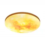 Настенно-потолочный светильник Сонекс PALE SN 72 7726/EL LED 70Вт 3000-6000К D475 IP43 пульт ДУ SUN