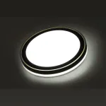 Настенно-потолочный светильник Сонекс Pale 7620/DLN