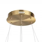 Подвесная люстра Lumion Ledio 8010/50L