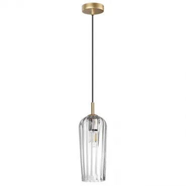 Подвесной светильник Lumion Suspentioni 6551/1B
