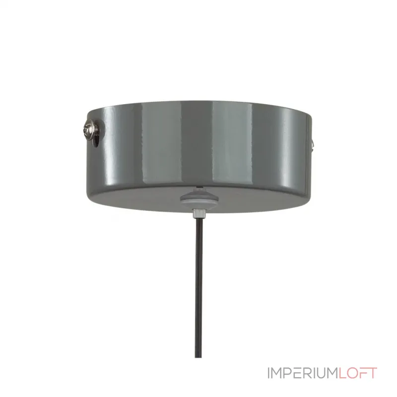 Подвесной светильник Lumion Ledio 6569/6L Подвесной светильник Lumion Ledio 6569/6L