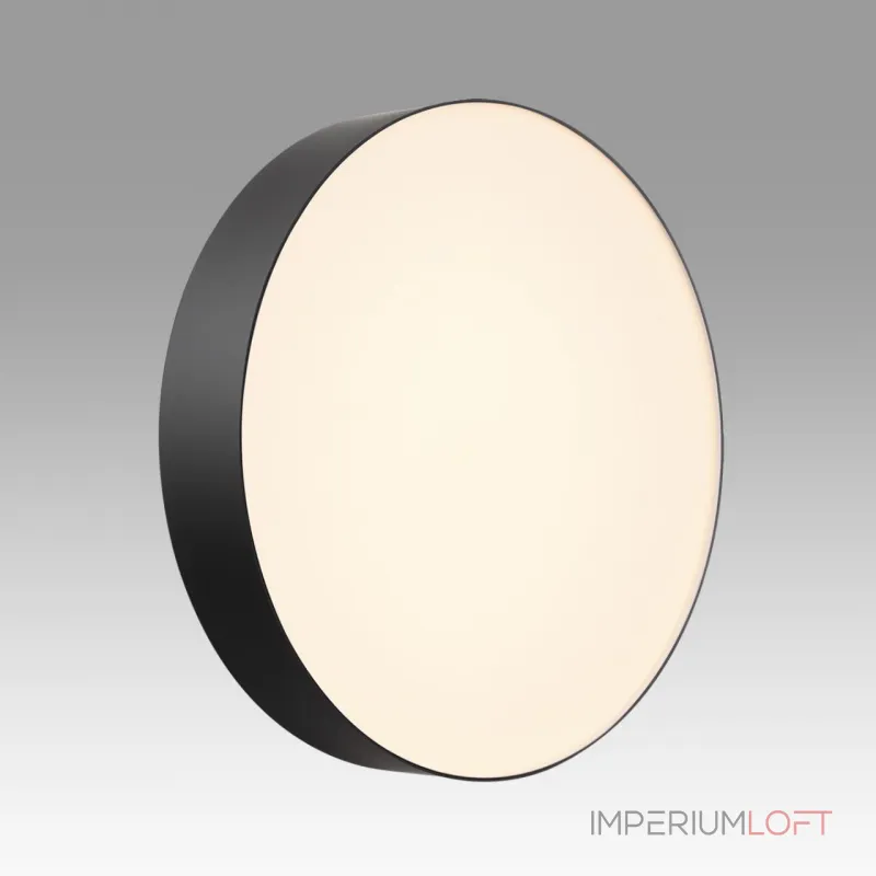 Настенно-потолочный светильник Sonex Basica 7780/DL Настенно-потолочный светильник Sonex Basica 7780/DL