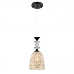 Подвесной светильник Lumion Suspentioni 8056/1A