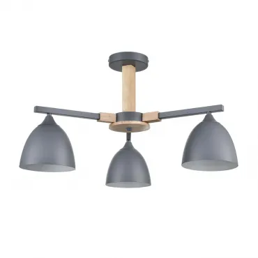 Люстра потолочная Lumion Moderni 8096/3C