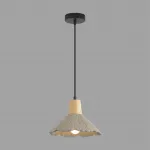 Подвесной светильник Lumion Suspentioni 8351/1A