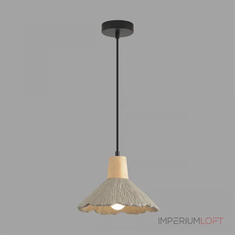 Подвесной светильник Lumion Suspentioni 8351/1A
